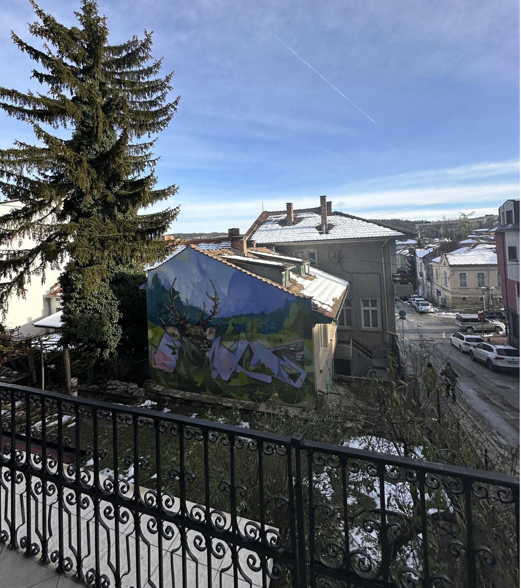 Guesthouse Petra Велико-Тирново Екстер'єр фото