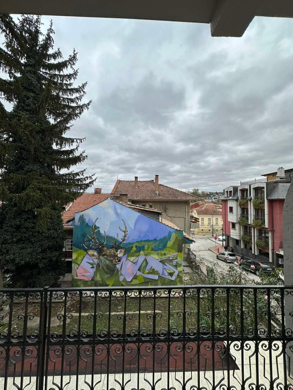 Guesthouse Petra Велико-Тирново Екстер'єр фото